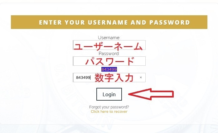 bitdig login.jpg
