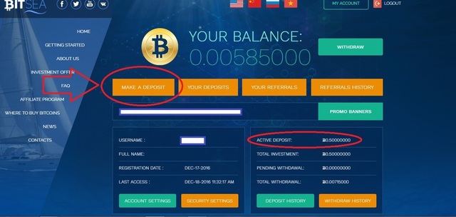 bitsea invest1.jpg