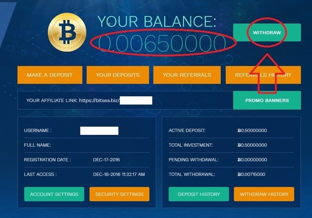 bitsea withdrow 1.jpg